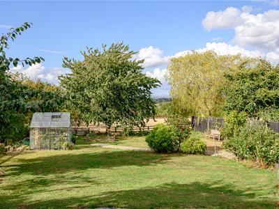Picture 34
